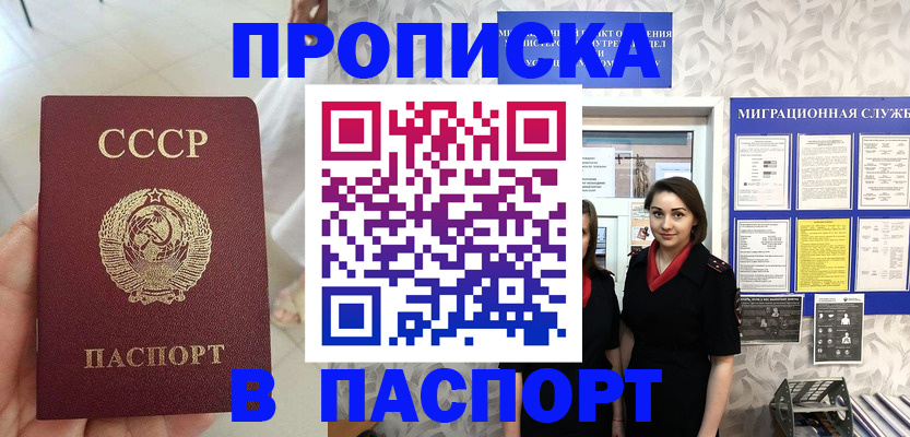 прописка 2025 в Ногинске